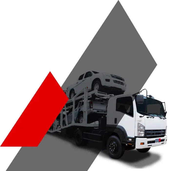 Export Auto